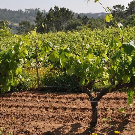 Quinta Da Serrana Ourem Luaran gambar