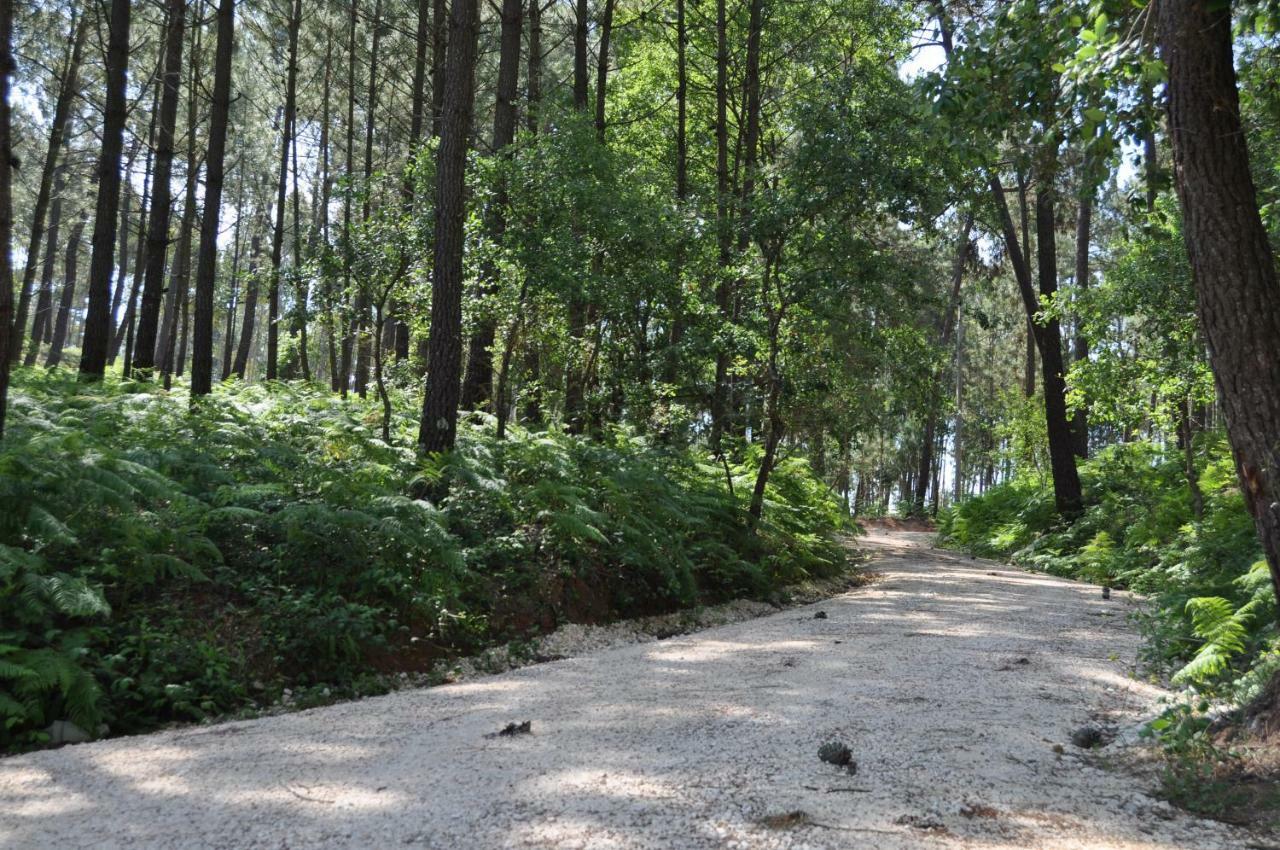 Quinta Da Serrana Ourem Luaran gambar