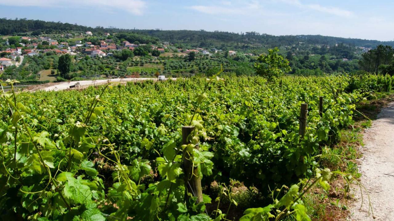 Quinta Da Serrana Ourem Luaran gambar